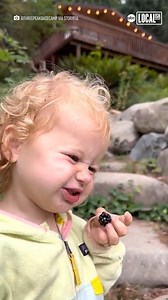 54K views · 606 reactions | This girl had the *sweetest* reaction to trying a wild blackberry  | Localish | Facebook