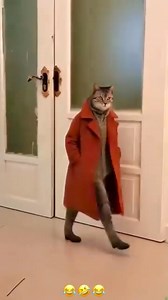 Crazy Ai videos | Mrcalculus