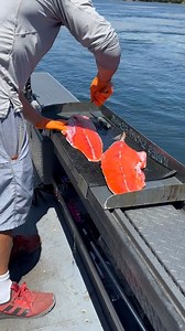 1.6K views | Summer Chinook on the cleaning table.. | Indian Jugaad Hacks | Facebook