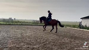 Baby Vinnie with teenager Ruby Bushby Super star horse by Verdi HorseQuest 320902 I do not own this music On behalf of an owner 🎠 | RH Equine