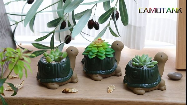 Amazon.com: Turtle Succulent Pots with Saucers for Indoor Outdoor Plants with Drainage Hole Ceramic Cute Heads Up Smiling Tortoise Planters Holder Flower Pots 3 Pack Garden Ornament Home Decor : Patio, Lawn & Garden