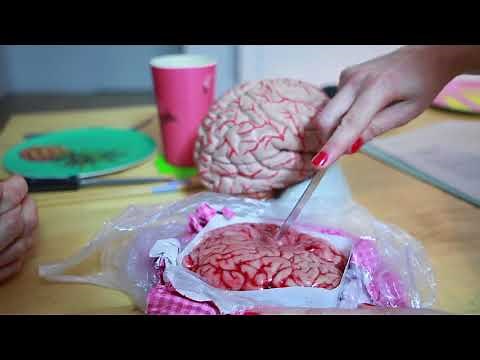 La matière grise et la matière blanche (MTTVC 4)