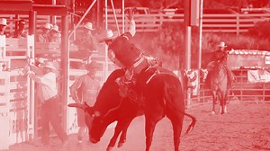 Watch the top three PRCA ProRodeo bull riders climb on the beast and RIDE! Tickets are becoming limited. Purchase now! Herriman.org/rodeo | Herriman City