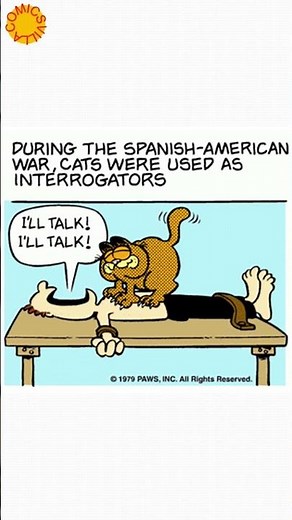 Garfield: History of Cats