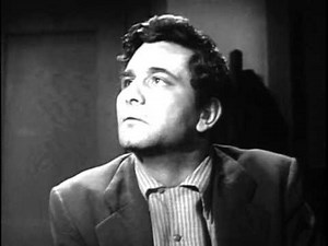 87th Precinct - 87TH PRECINCT The Pigeon Peter Falk