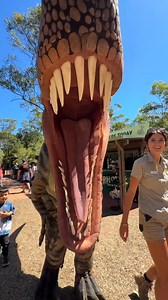 16K views · 504 reactions | No better way to spend summer than with dinos ☀️ Jurassic Zoo is on right now all the way through school holidays 練 #schoolholidayactivities #dinosaurs | Australian Reptile Park | Facebook