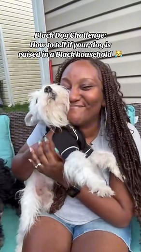 Is your dog Black or nah? 🧐 Y'all already know my boy Simba is Black, he just light skinned 🤣 Zuri don't know she Black right now, but she will know soon. We are still in the learning process that we don't do puppy kisses here, but cuddles are fine 😌 #blackdogchallenge #blackwomenlovedogs #dogmomproblems #dogkisses #doghumor | Dog Mom POV