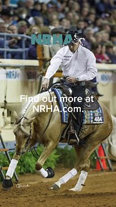 We are counting down to the $100,000 Open Shoot Out & 2023 Million Dollar Competition Qualifier on Friday, August 18! Be watching for the NRHA - National Reining Horse Association maneuver: circles!!! 🎥VC: NRHA - National Reining Horse Association #therunforamillion #nrha #reining #circles #reiningmaneuver #horseriding #reininghorse #milliondollarcompetition #vegas #southpointcasino #southpoint #southpointlv #southpointlasvegas #vivalasvegas | The Run For A Million