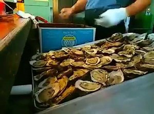 10K views · 181 reactions | Check out how fast Paul shucks at the original Crabby Bills in Indian Rocks Beach | The Original Crabby Bill's | Facebook
