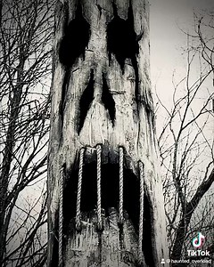 138 reactions · 17 shares | Carved another spooky tree. #hauntedoverload | Haunted Overload | Facebook