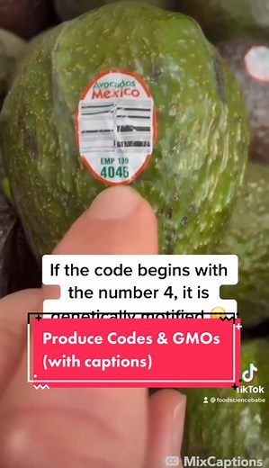 Food Science Babe on TikTok