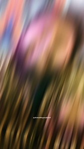 51K views · 634 reactions | Karle Tu Shiv Ki BhaktiTere Kaun Kaam Aayega@kishanbhagatofficial1 ✨Jay Shree Mahakal❤️ . . . #kishanbhagat #kishanbhagatofficial #bholenath #bhajan #kedarnath #mahakal #explorepage✨ #trending #reels #ujjainnagari #ujjain #jaishreemahakal #foryoupage | Jaykishan Tarole | Facebook