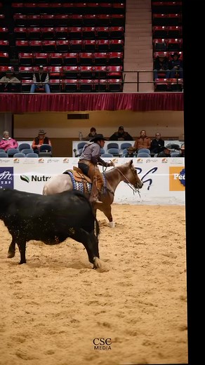 Jason Gay on Put My Blugenes On #rayshellranch #WesternBloodstock #cowhorse National Reined Cow Horse Association Jason Gay Training | CSC Media