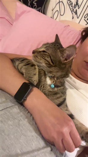 Mona&Martin on TikTok