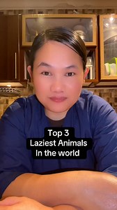 18 shares · 4 comments | Top3 laziest animals #panda #koala #sloth #animals #animallover #pets #followerseveryonehighlights #reelsvideoシ #reelsviralシ #reelsfbシ #facebookreelsviral #reelsfypシ #viralreelsfacebook #viralreelschallenge #reelsfacebook #reelschallenge #followme #followersシ゚ | Razel Ezah Perjes Roscales | Facebook