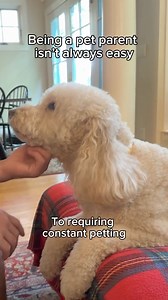 "We love The Honest Kitchen clusters because they are 100% human grade and made with real whole foods you recognize. Otis and Rosie absolutely love the taste!" | The Honest Kitchen