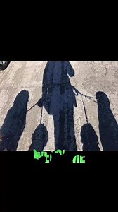 #doghotel #longislanddogparents #2025 #neighborhood #petsittingservices | Pamper ur Poochie Boarding Parlor