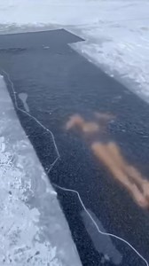 14K views · 110 reactions | Swimming Under the Ice | Sebastian Cafe Latin Restaurant | Facebook