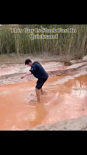 Daredoll and Quick Sand Adventures