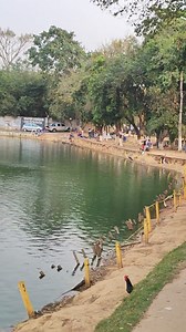 Estamos com 80 pescadores no lago ,, recanto Favaro em Capivari sp sexta feira 6 setembro de 2024 as 19:00 hs abre a pesca e só vai fechar na quinta feira 12 setembro na parte da manhã!!! Rodaremos 24 horas aberto sem fechar!!!!! Av Enio Pires de Camargo 200 Bairro ribeirão em Capivari sp Cabe 120 pescador !!!! Telefone para contato 19-991-41-02-81 | Pesqueiro Recanto Favaro