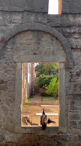 🌺 Discovering the hidden gems of Lokrum Island! Check out the stunning botanical garden, take a dip in the crystal-clear sea, and enjoy a picnic with a view. 🌊🧺 #experiencedubrovnik #croatiafulloflife #dubrovnik #dubrovnikriviera #dubrovnikneretvacounty #feelfreetodiscover #botanicalgarden #crystalclearwaters #picnicgoals #lokrumisland | Dubrovnik Tourist Board: Experience Dubrovnik