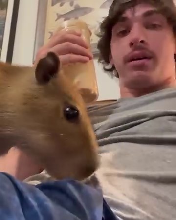 Can a capybara be friends with a dog? | The Urban Rescue Ranch