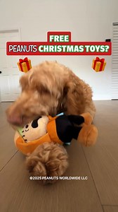 17K views | The gang is here to help your pup ring in the Howlidays! Get double the Peanuts™ toys and treats for FREE when you join. | BarkBox | Facebook