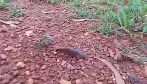 Never ever ever give up! | Yahya Adel Ibrahim