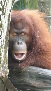 Ca me fait penser à quelques personnes dans ma famille 😂😂😂 | Chat se discute