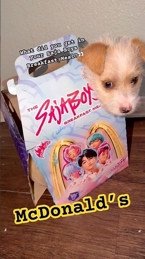 KPop Demon Hunter meals arrive at McDonald's. What's inside? 👀 #mcdonalds #kpop #demon #sajaboys