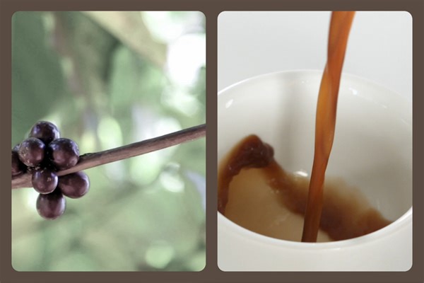 23K views | Experience the richness of fresh, aromatic, and bold flavors of LuLu Coffee ☕☕ . Grab yours at the nearest LuLu store today! ️ #LuLuUAE #HappyAtLuLu | LuLu Hypermarket | Facebook