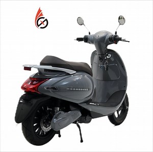 [Hot Item] CE Certification Adult Scooter Optional Battery New Color Hydraulic Shock Absorber