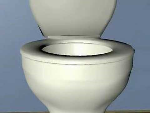 How It Works: The Toilet