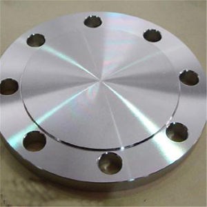 [Hot Item] OEM Customized ANSI Forged Stainless Steel Blind Pipe Flange