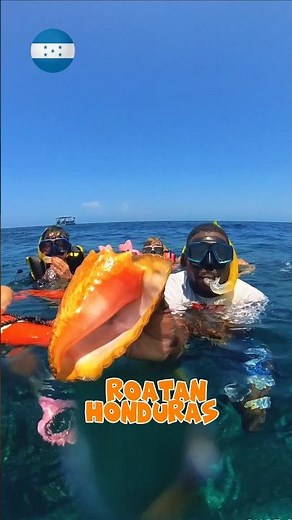 🛳 Big French Cay - Roatan Honduras 🇭🇳