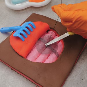 Visualize Surgery Step-By-Step With Eco-Friendly Plasticine Models | 3-Minute Hacks