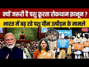 Shocking Demand for Law on Animal Sexual Abuse | What Indian Courts Said on Bestiality Cases