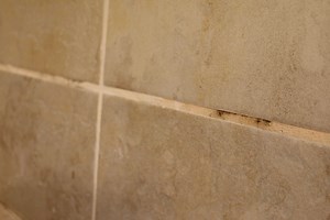 How To Safely Remove Mold From Shower Grout