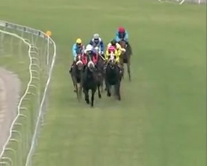 LEGAL MAXIM avec Cedric Segeon. Retro 2012. | Mauritius Turf Passionates