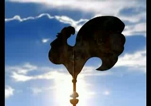 сорта огурцов