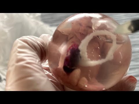 Mom Birth of Silicone Baby’s in Womb | Reborn Family Girls