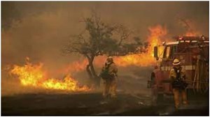 South Africa's Table Mountain on fire, 250 firefighters struggle to scale down blaze