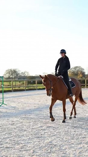 🏅 Espace Cheval Competition – Chevaux de sport 🐴✨ Nous sommes fiers de proposer tout au long de l’année une sélection de chevaux, issus d’un travail sérieux et encadré, afin de répondre aux besoins de chaque cavalier. 🔹 Chevaux disponibles de 3 à 10 ans 🔹 Des profils variés : jeunes chevaux d’avenir, chevaux prêts sur les barres, partenaires idéaux pour amateurs ou cavaliers confirmés 🔹 Un suivi professionnel : essai, conseils, orientation selon votre niveau et vos objectifs 🔹 Une équipe d