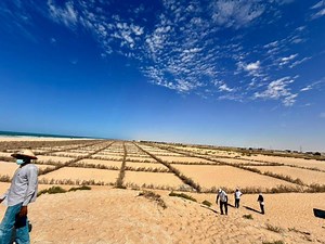 Érosion côtière/Programme Waca : Des hommes de médias en immersion sur les sites du projet en Mauritanie