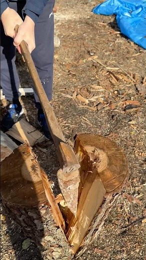 How to split a log with a wedge?...🪵🪵🪵🪵🪵🪵🪵🪵🪵