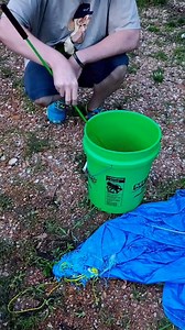 288K views · 8.1K reactions | There was a copperhead right on my doorstep! Beautiful female snake here. #venomman20 #venomouskeeper #venomousanimals #venomoussnakes #venom #venomous #rattlesnake #copperhead #copperheadsnake | Venomman20 | Facebook