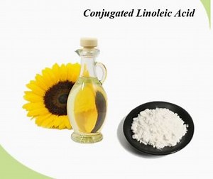 [Hot Item] 100% Natural Safflower Oil Derived Conjugated Linoleic Acid Cla Tg Powder