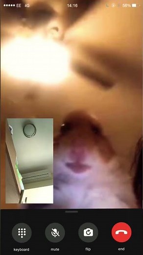 #funny your phone ringing 😨😨😨 #memes #humor