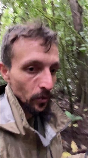 what are buttress roots?