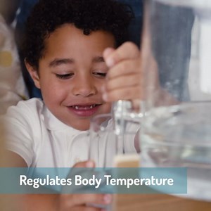 Amazon.com: Invigorated Water pH ON-The-GO Portable Alkaline Water Filter Pouch, High pH Water Alkalizer for Bottles, Jugs, Pitchers - Filters 98 Liters / 26 Gallons (3-Pack) : Electronics